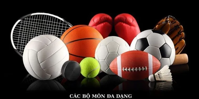 Thể Thao VUABET: Chinh Phục Đam Mê, Thắp Sáng Chiến Thắng